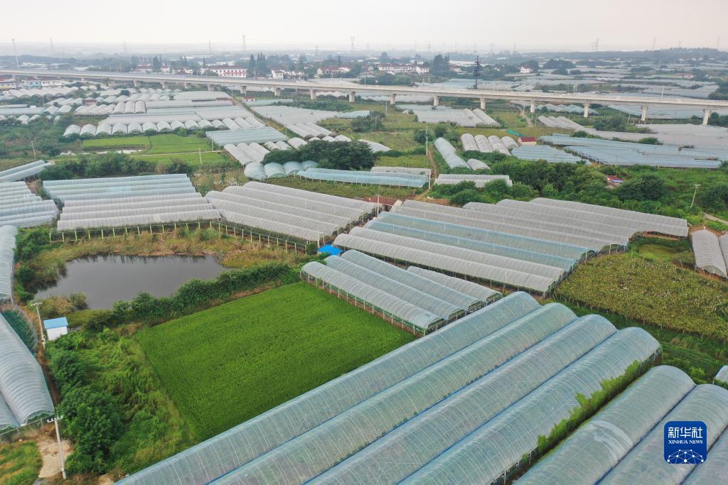 捕鱼移植安卓版